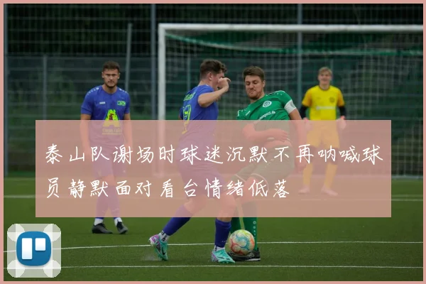 泰山队谢场时球迷沉默不再呐喊球员静默面对看台情绪低落
