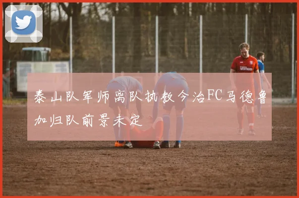 泰山队军师离队执教今治FC马德鲁加归队前景未定